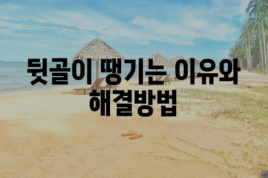 샘플 (87)