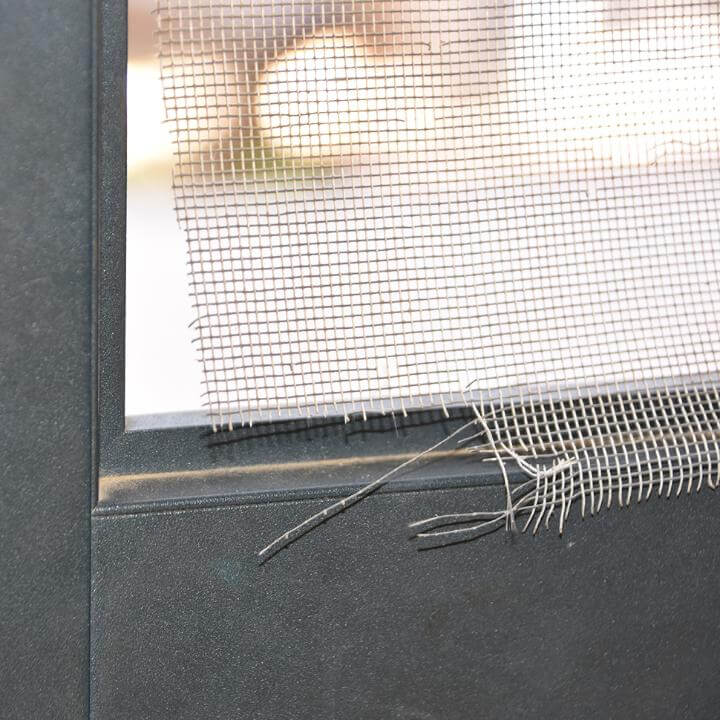 러브버그 제거방법