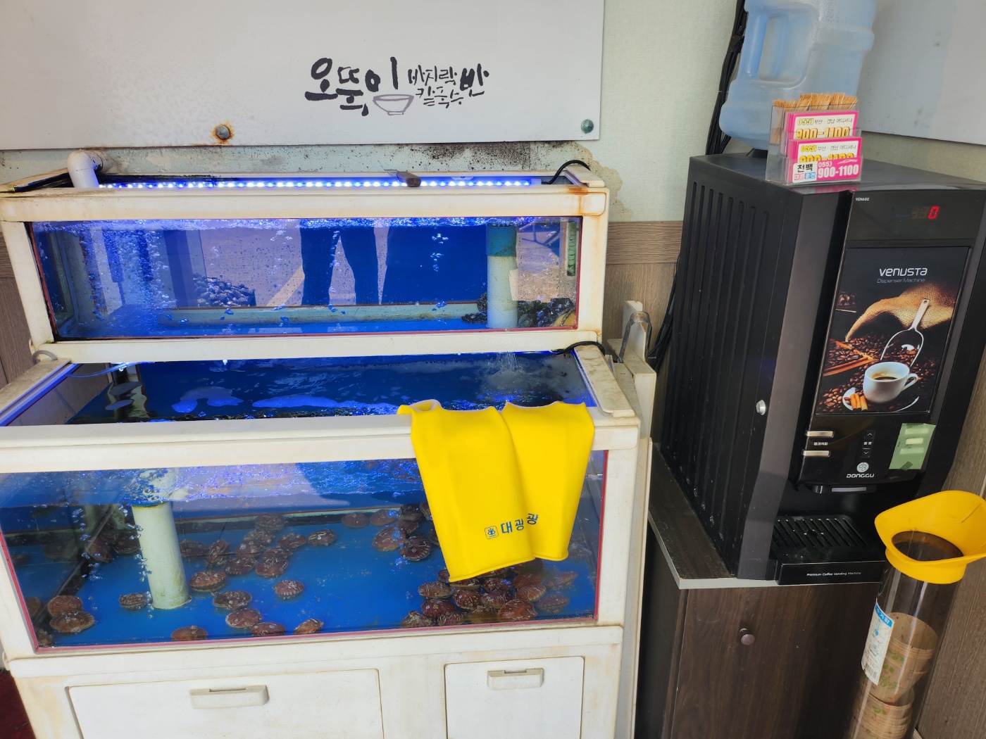 오뚝이-바지락-칼국수-가리비