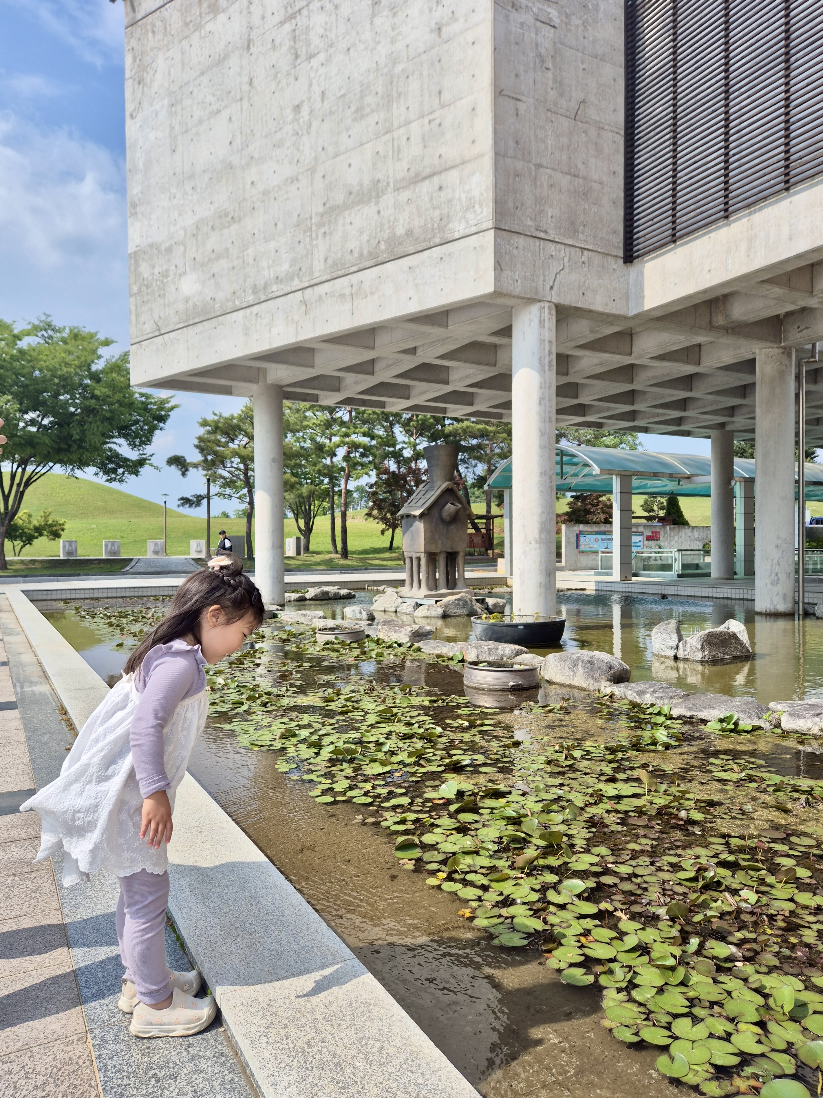 함안박물관, 연꽃,