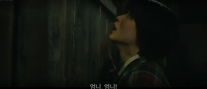 용례에 의해 광에 갇힌 정년
