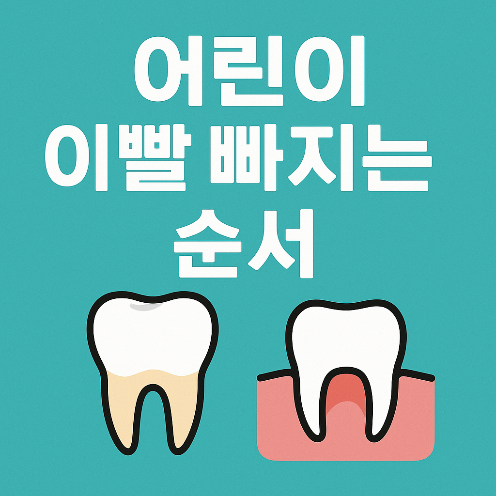 어린이 이빨 빠지는 순서