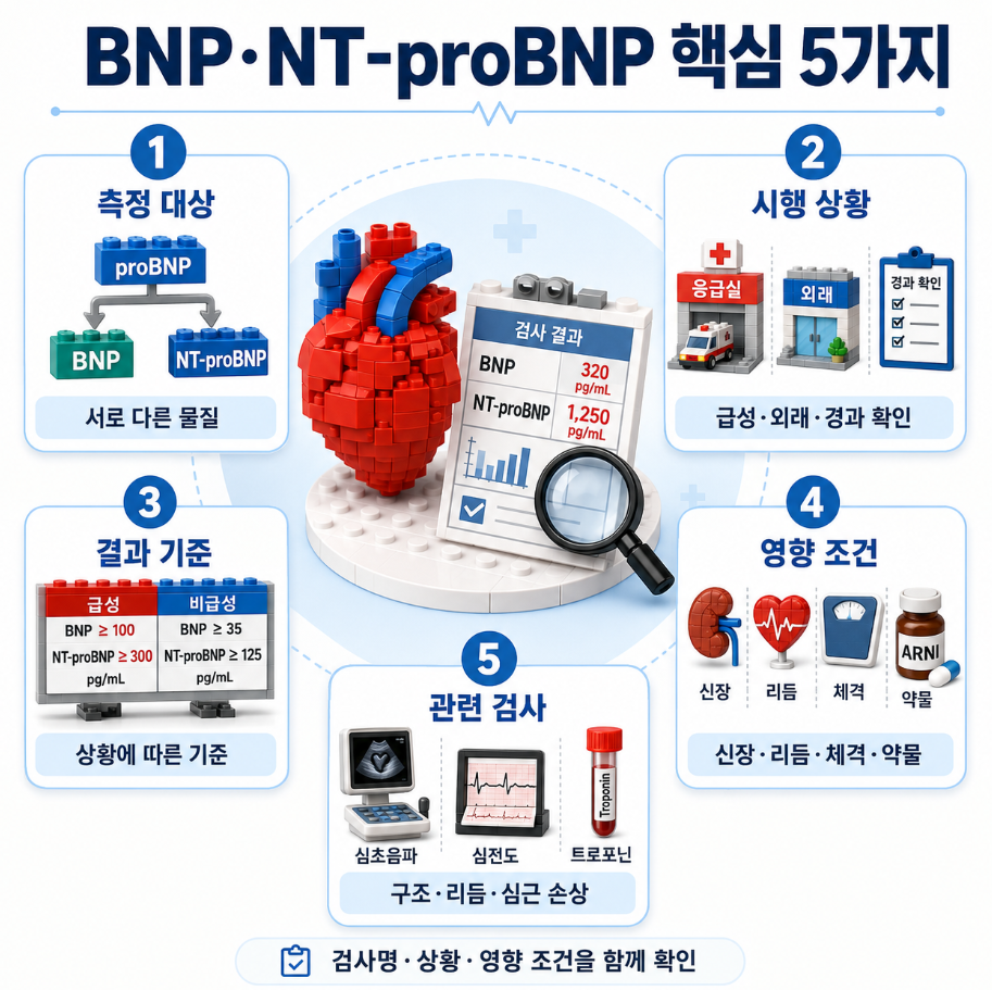 BNP·NT-proBNP 검사 결과 핵심 5가지를 요약한 의료 인포그래픽