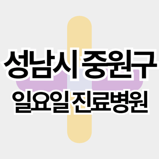성남시중원구_일요일진료병원_썸네일