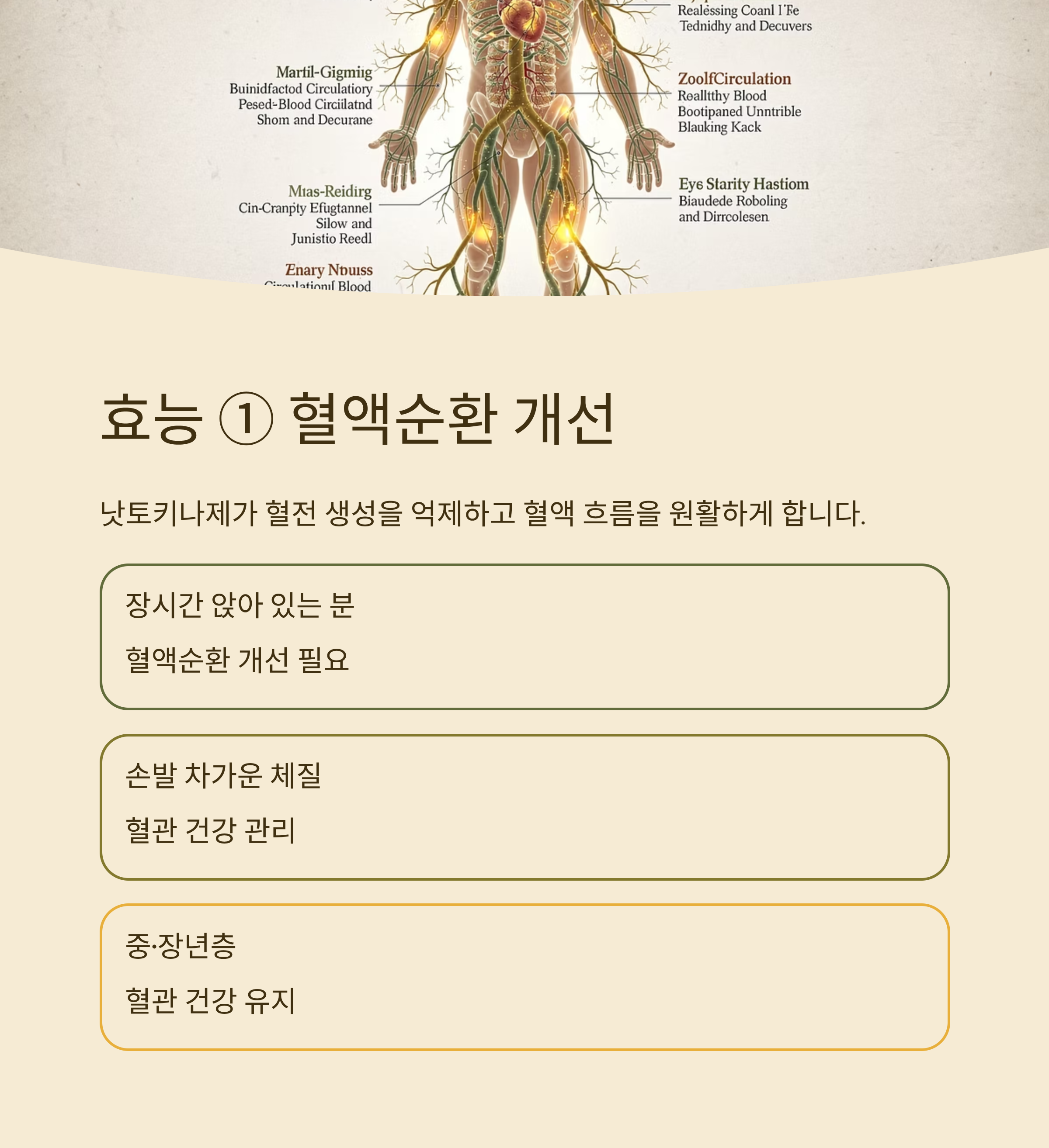 낫또의 효능 혈액순환 개선
