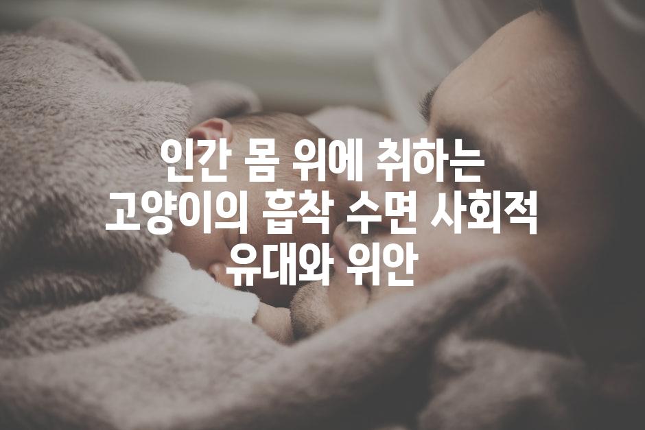 인간 몸 위에 취하는 고양이의 흡착 수면 사회적 유대와 위안