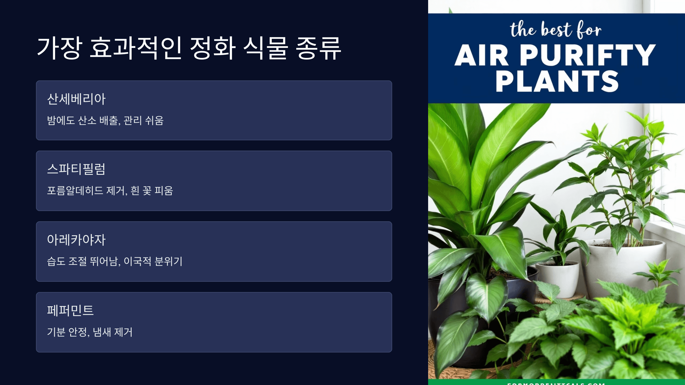 종류