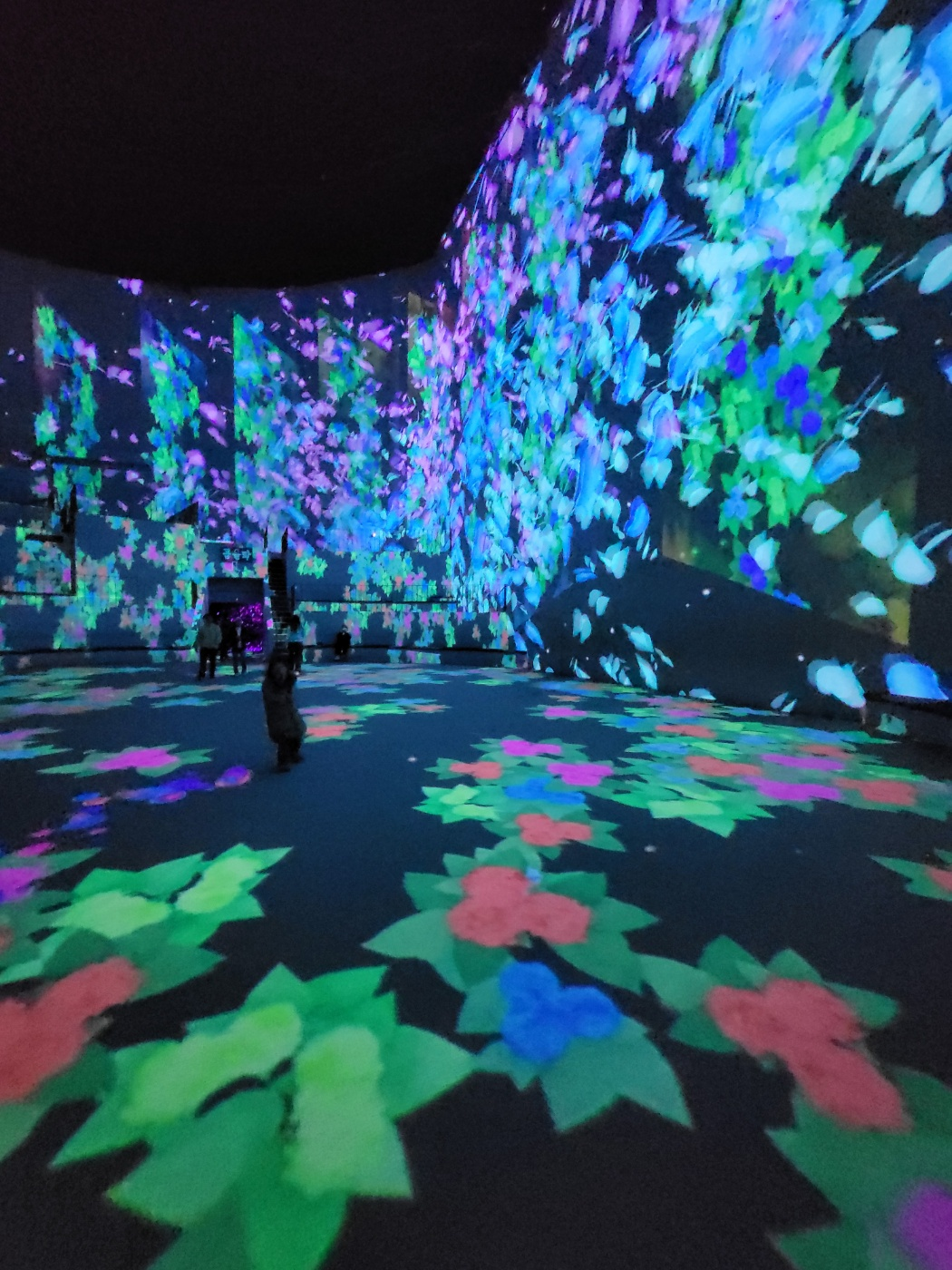 제주도 아이와 가볼만한곳 ( 노형슈퍼마켙 )