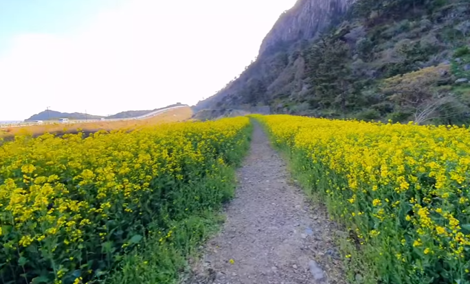국내 봄 여행지