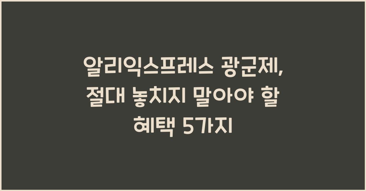 알리익스프레스 광군제