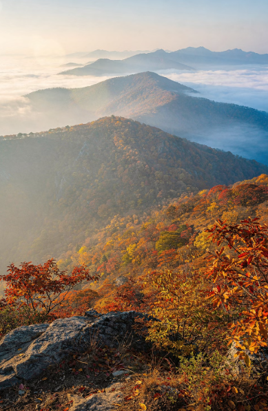 전주 근교 트레킹과 달리기&amp;#44; 산책까지 가능한 완벽한 힐링 코스 총정리