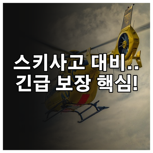 해외 스키 여행자보험 긴급 구조 후송..