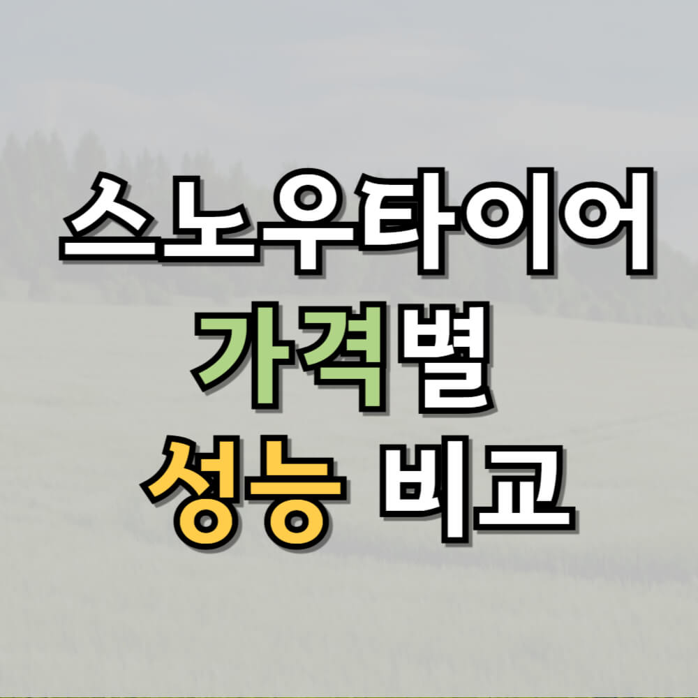 스노우타이어 가격별 성능 비교