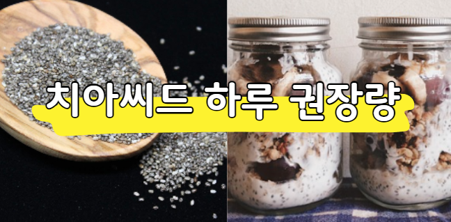 치아씨드 하루 섭취량 및 먹는 방법