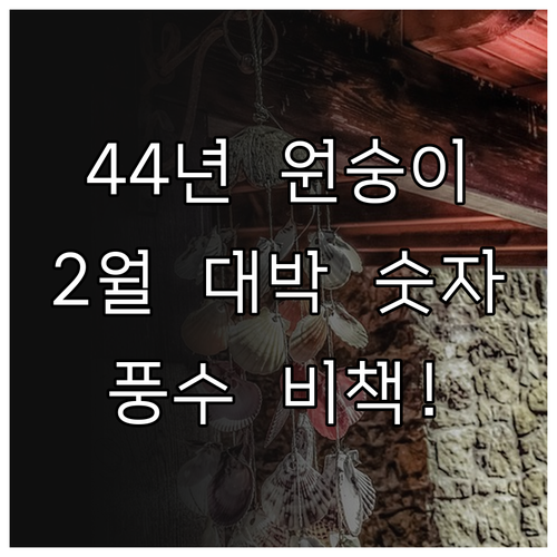 1944년생 원숭이띠 2월 행운을 부..