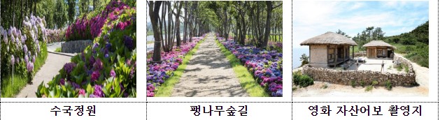 도초도 사진