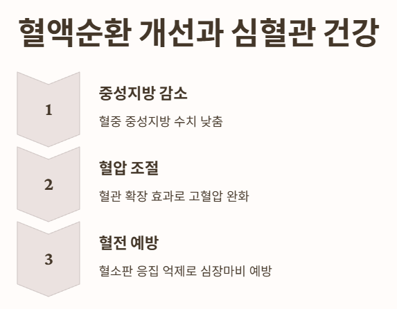 하이퍼셀오메가3 효능 1: 혈액순환 개선과 심혈관 건강