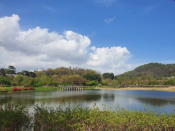 푸른수목원