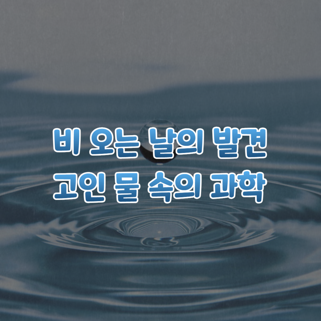 비 오는 날의 발견 고인 물 속의 과학 섬네일
