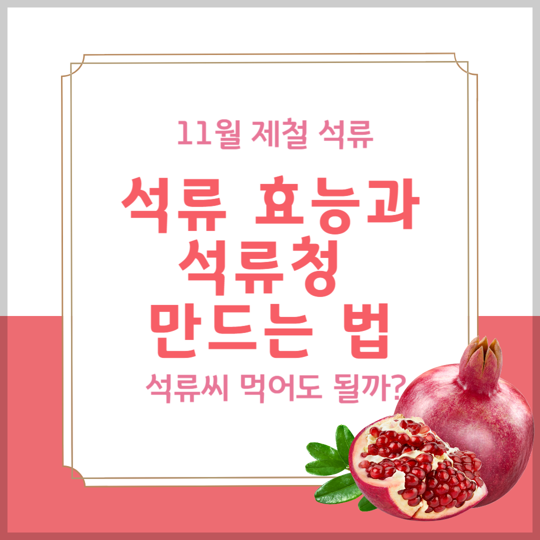11월 제철 석류의 효능과 올바른 석류청 만드는 방법 석류씨 먹어도 될까