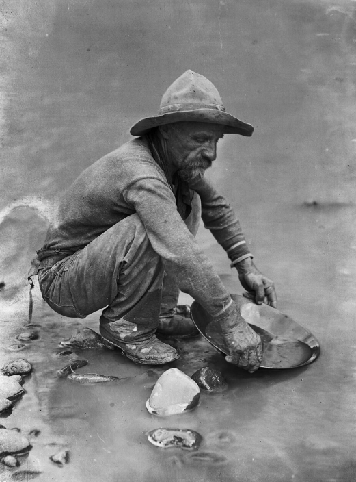 금을 캐는 사람