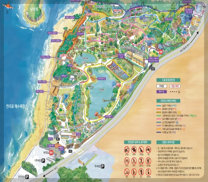 천리포수목원 목련 축제_28