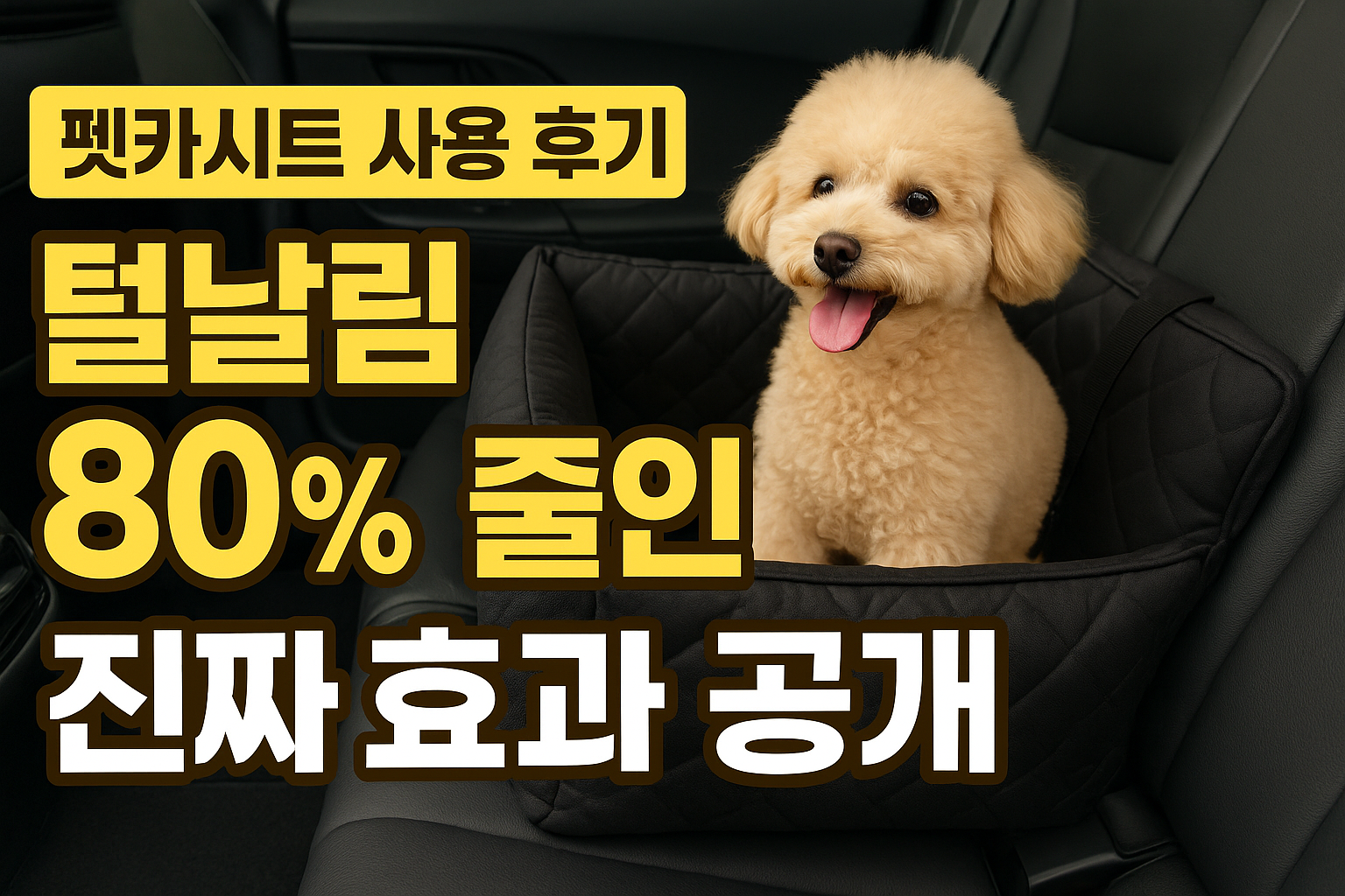 펫카시트