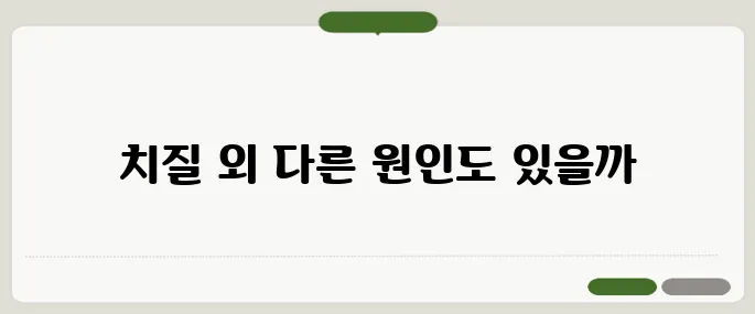 치질 증상 피만 보면 무조건 치질일까?