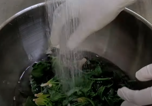 시금치 2차 헹굼