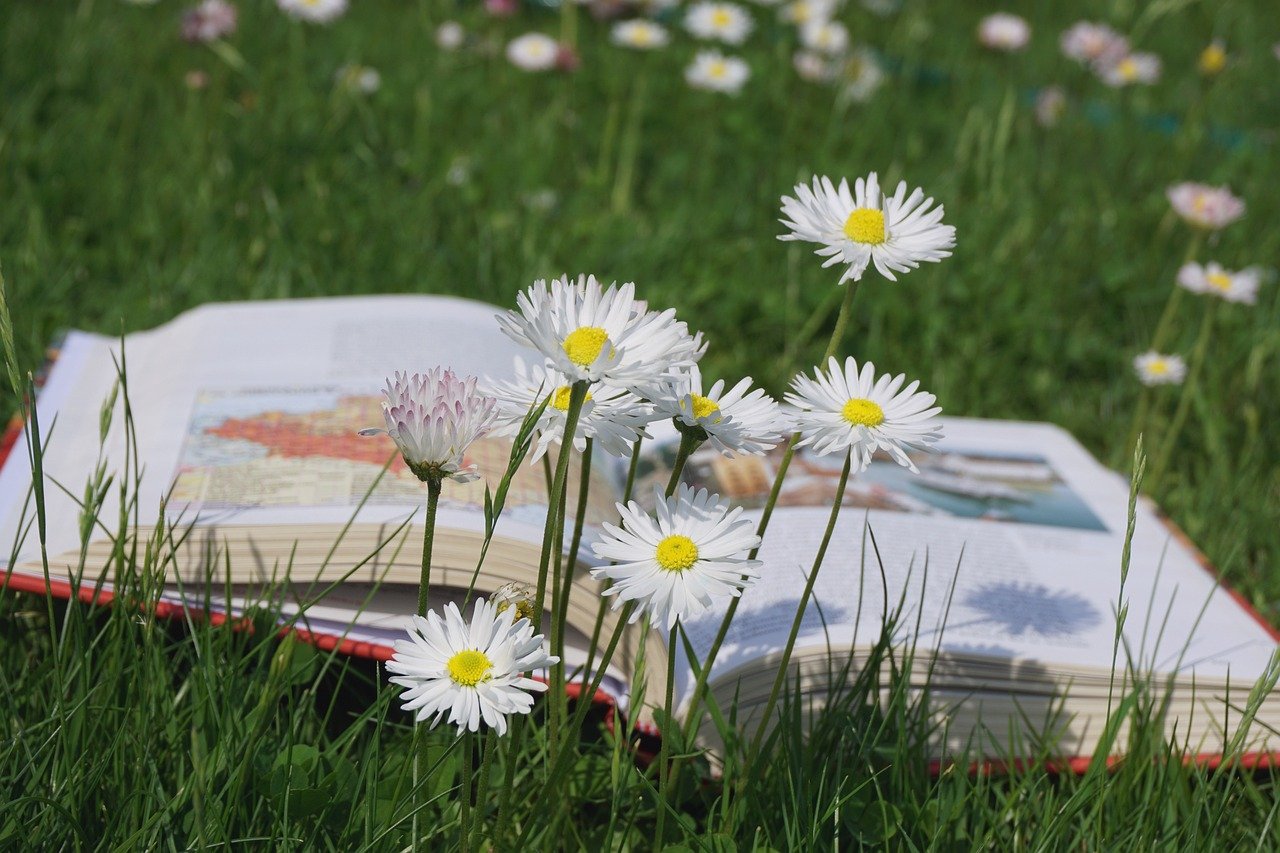 마음, 원망 관련 이미지