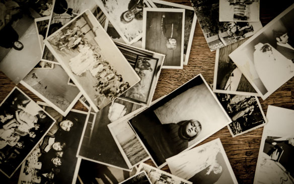 넷플릭스 영화 <계시록> 출연진, 연상호 감독 심리 스릴러 볼까?