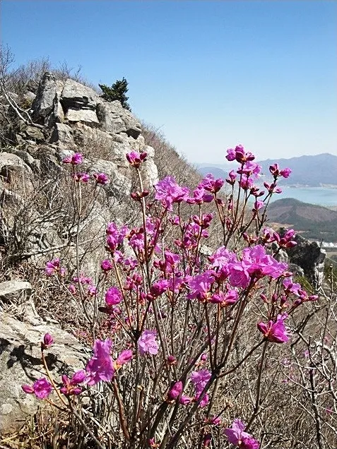 해남 달마산