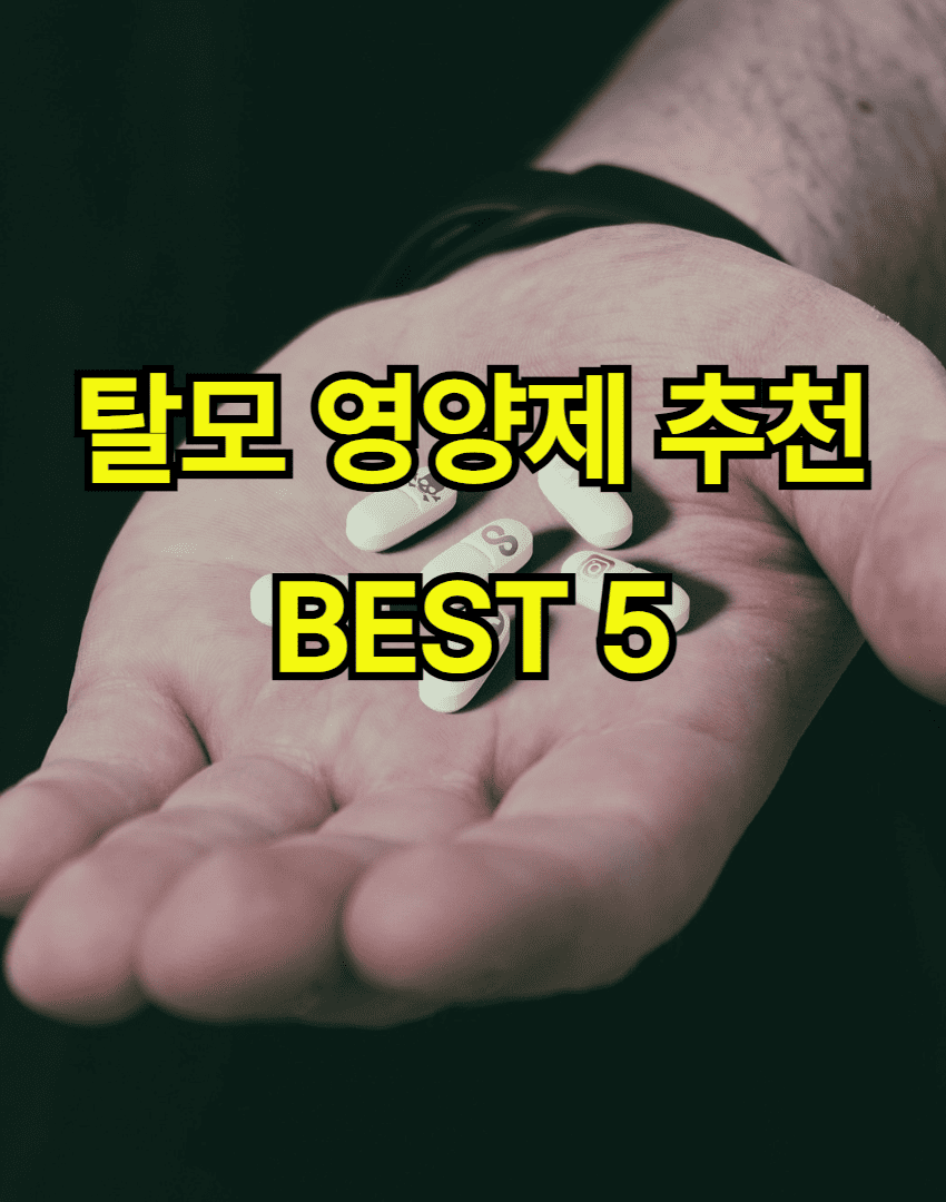 탈모 영양제 추천 BEST 5