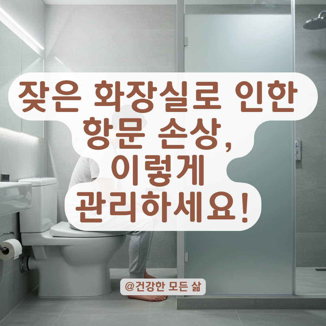 반복된 화장실 사용 후 항문 손상, 2차 감염 막는 자가 관리법 총정리.