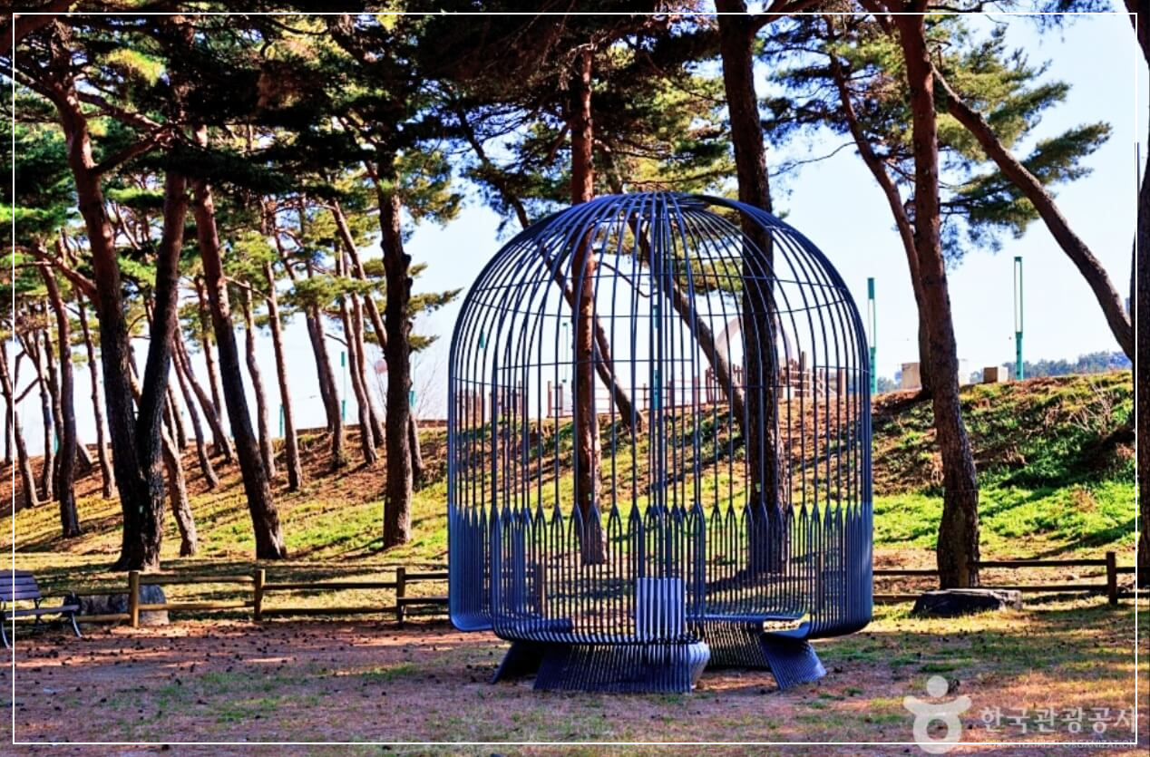 울진 가볼만한곳 베스트10 왕피천 생태탐방로