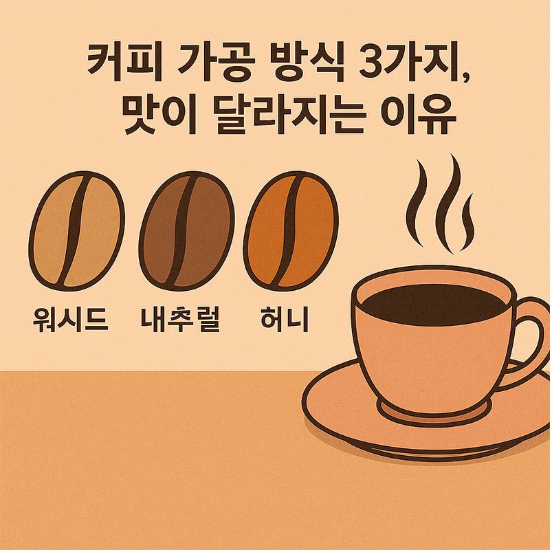 AI가 만들어준 커피 가공 방식 3가지, 맛이 달라지는 이유