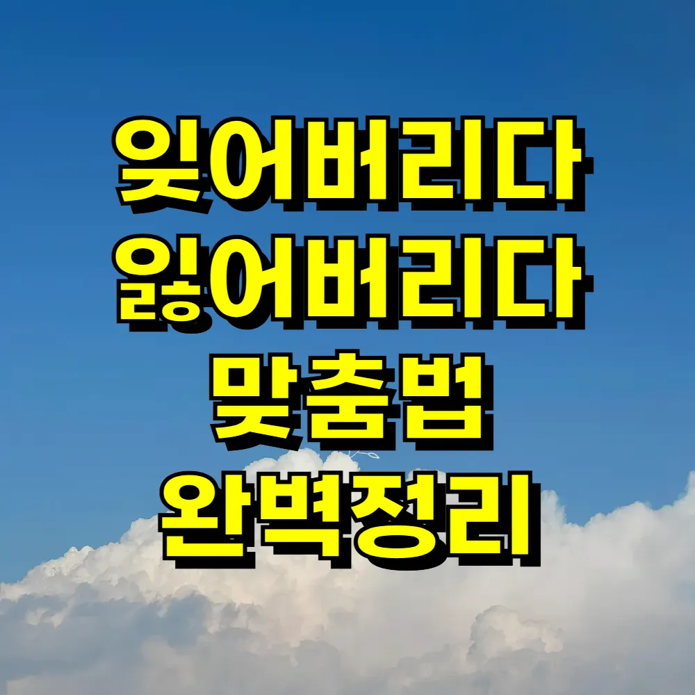 잊어버리다 잃어버리다 맞춤법 완벽정리