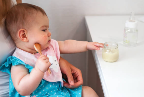 자기주도 이유식