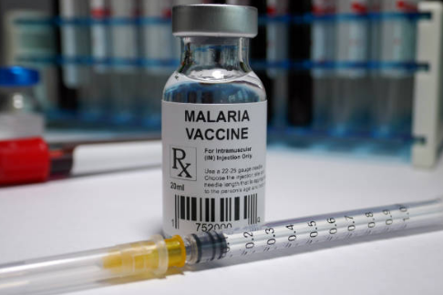 말라리아 증상, 예방접종, 모기 총정리 (2024ver)