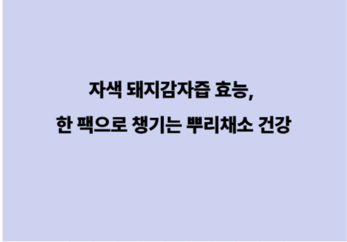 자색 돼지감자즙 효능, 한 팩으로 챙기는 뿌리채소 건강