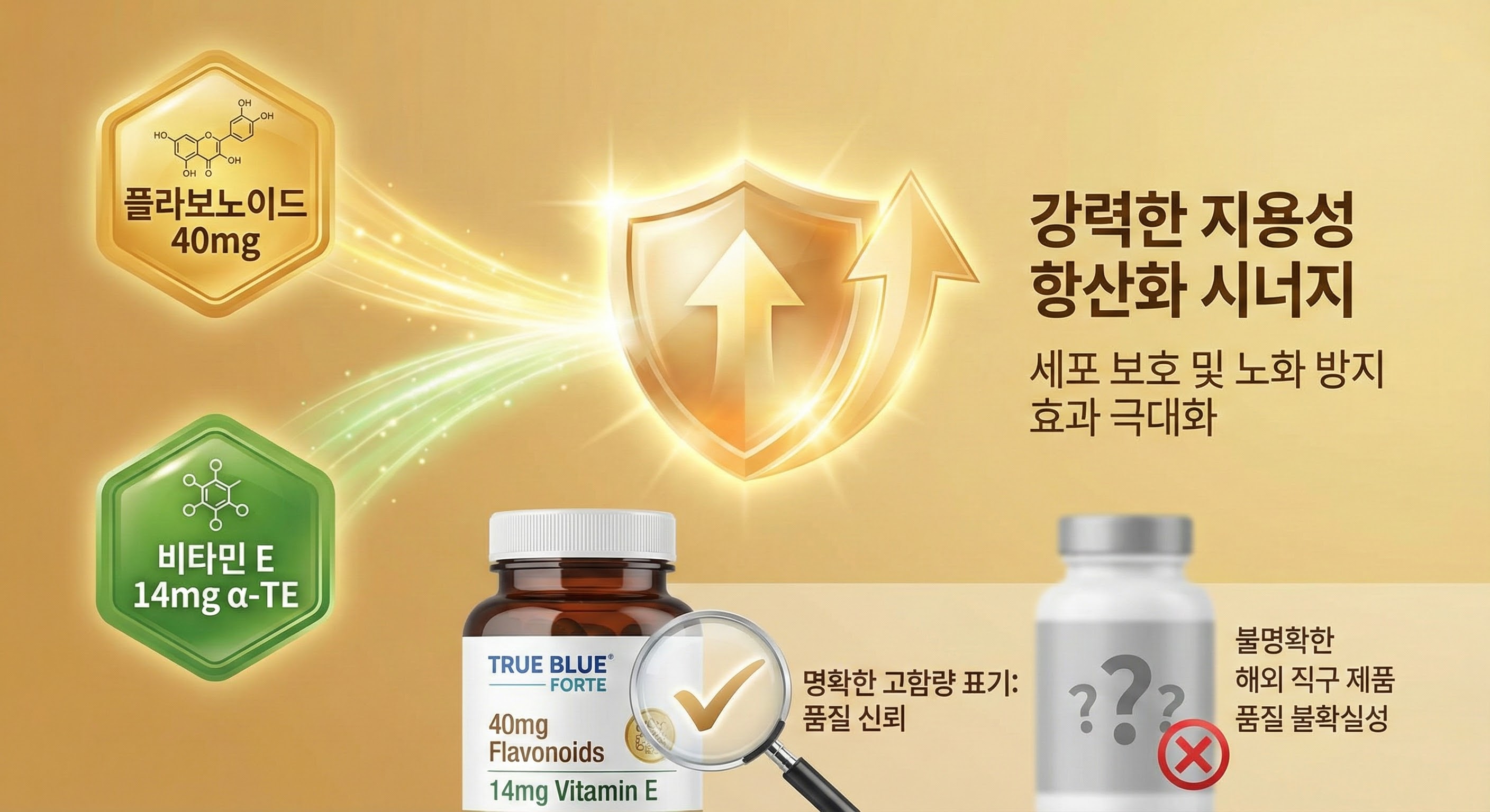 비타민 E와의 시너지 효과