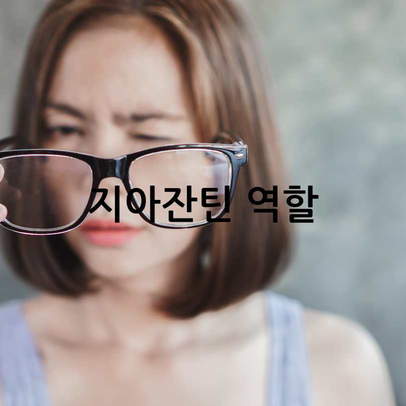 노안영양제
