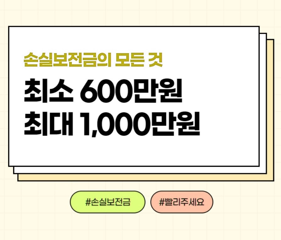 손실보전금