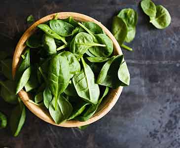 쥐날때 좋은 음식 시금치
