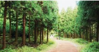 제주 2박 3일 핫플레이스