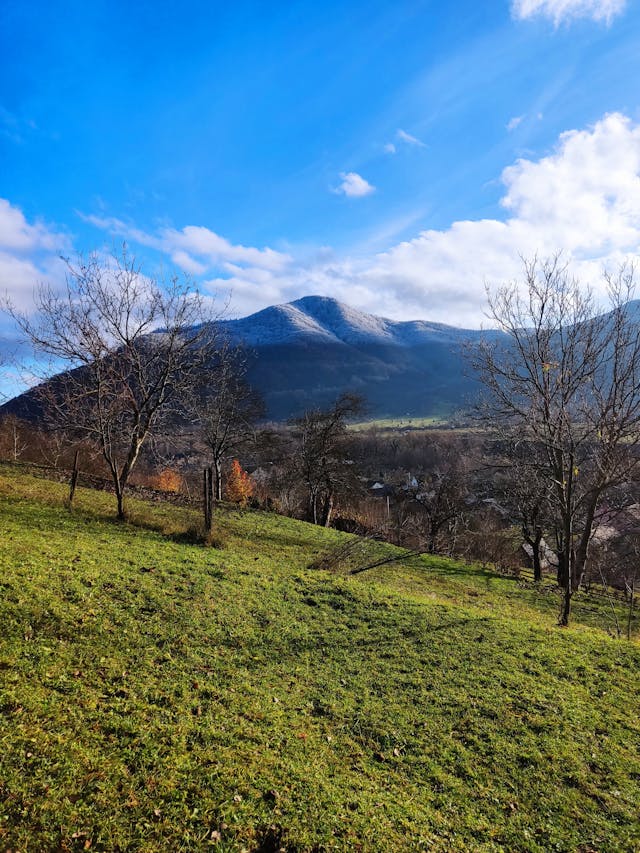2026년 1월 전국 날씨 예보 전망 정보