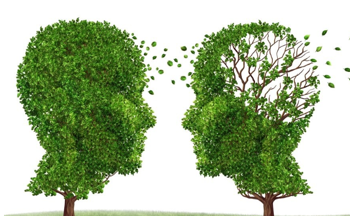 치매-상징-이미지