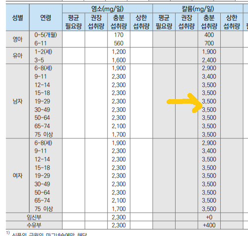 칼륨 충분섭취량 3,500