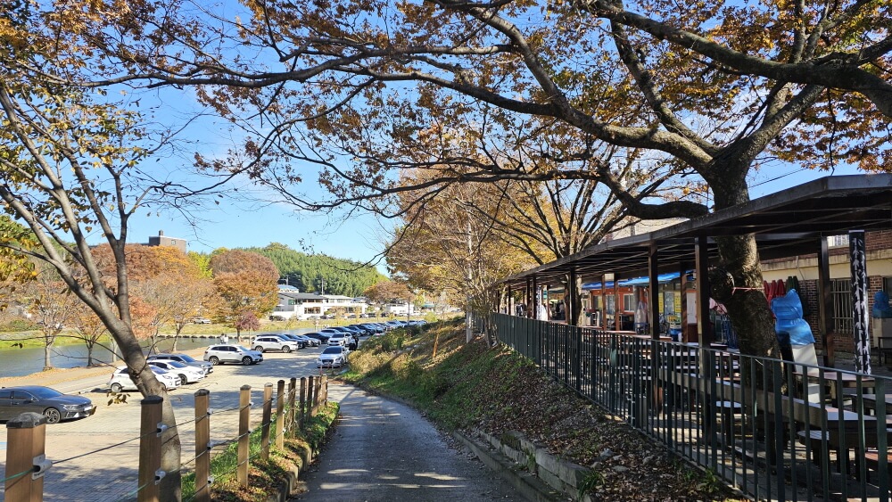 담양 관방제림 늦가을 산책 : 단풍마저 고요해진 숲길 걷기 여행