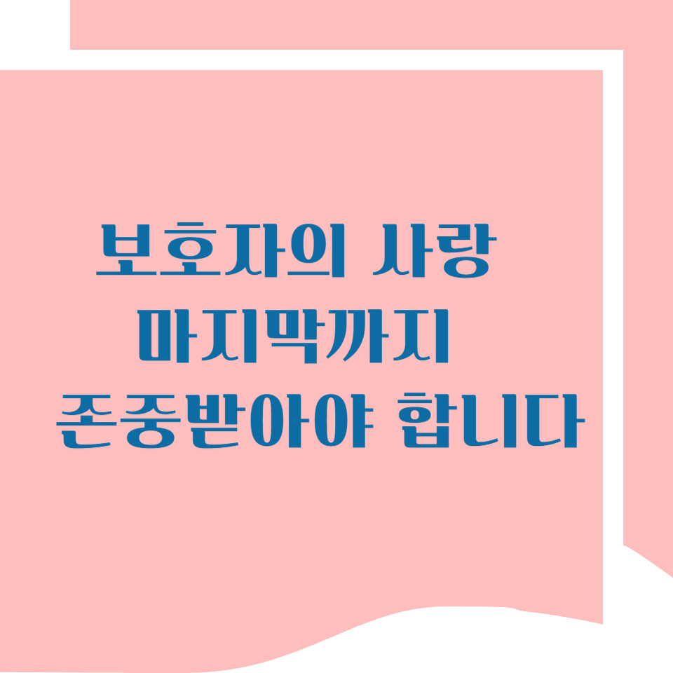 반려동물 장례식장 비용, 얼마나 들까요? 미리 알아두면 도움이 됩니다